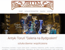 Tablet Screenshot of antykiwtoruniu.pl